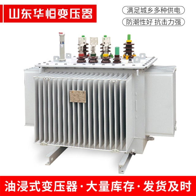 S13-10000/35浑南浑南浑南电力变压器